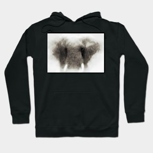 Elephant portrait Hoodie